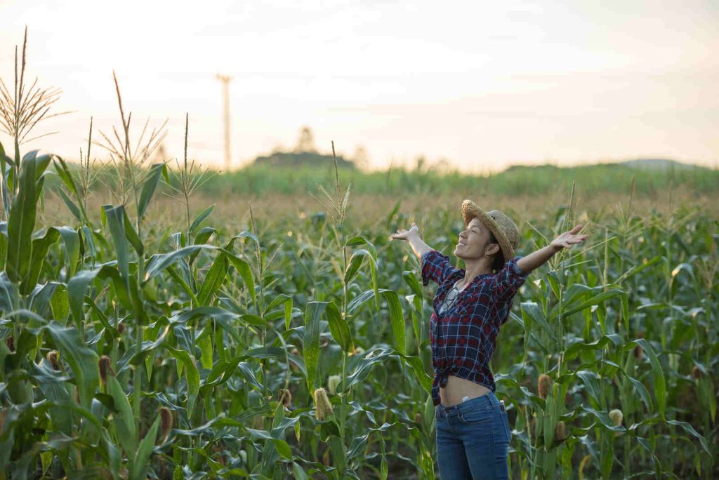 Brasil Conquista Novas Aberturas de Mercado nos Estados Unidos e Amplia Exportações Agropecuárias