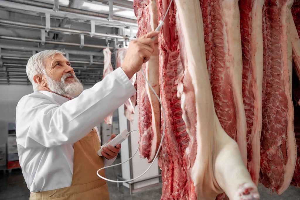 Brasil e Singapura Firmam Acordo de Regionalização para Comércio de Carne Suína em Caso de Surto de Peste Suína Africana