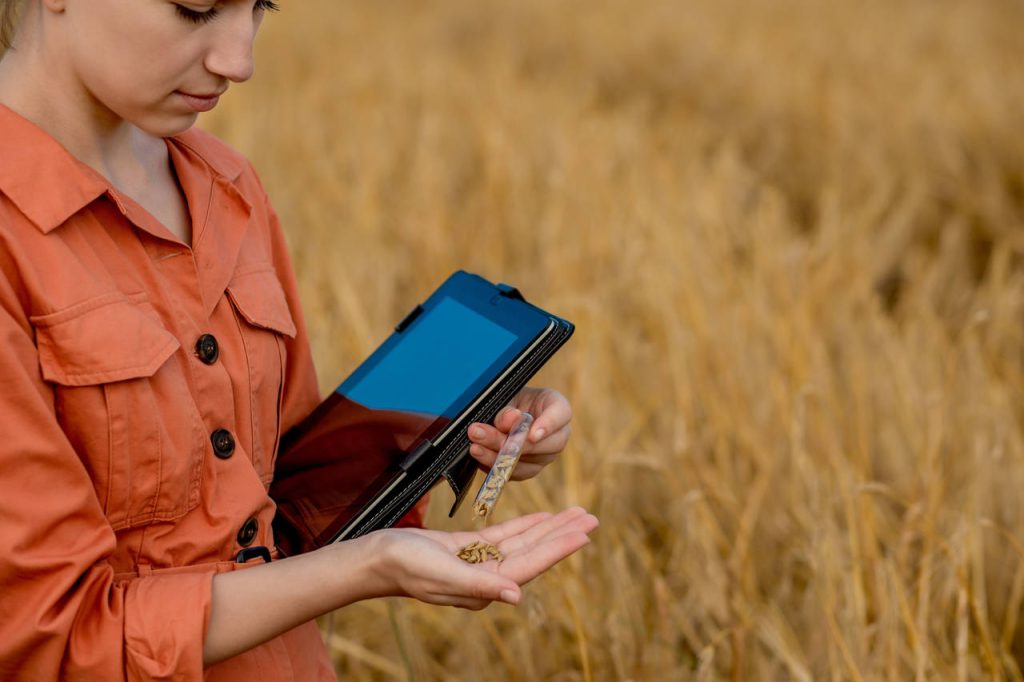 Mapa Lança AgroInsight para Impulsionar Exportações e Fortalecer o Agronegócio Brasileiro no Mercado Global