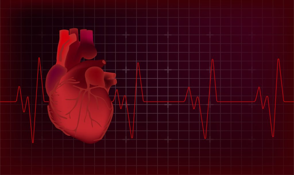 Faça o seu check-up cardiológico!